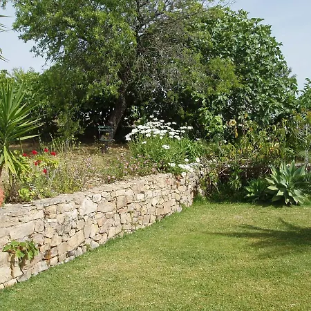 Casa Carrossel *