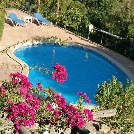 Casa Carrossel *